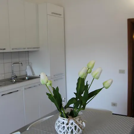 Le Bellezze Vaticane